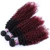1 Bundle Kinky Curly Synthetic Hair Weave Bundles 16 18 20 Inches 70Gram Ombre Color Two Tone Curly Hair Bundles #613 1 bundle 16 inches view 3