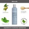 ABBA - Pure Moisture Essentials Value Trio  Shampoo, Conditioner & Bonus All-In-One Leave-In Spray  Hydrating & Nourishing  Olive Butter & Peppermint Oil view 3