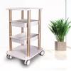 Hair Salon Trolley Rolling Cart Beauty Rolling Trolley Cart Storage Organizer Hairdressing Tool Station Super Load-Bearing & Silent Roller (E-4-Layer (ABS+Aluminum)) view 1