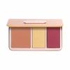 Anastasia Beverly Hills - Face Palette - Tropical Getaway view 3