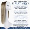 Full Shine U Part Human Hair Wigs Half Wig With Clip Ins Middle Part Remy Hair U Part Wigs Ombre Balayage Brown with Blonde 150Grams 20 inch view 2