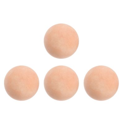 Beaupretty 4pcs Facial Replacement Oil Absorbing Balls Stone for Oily Face Oil Blotters for Face