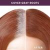 Madison Reed Root Touch Up + Brow Filler, Sienna Auburn Red, Instant Gray Coverage, Fills in Brows & Thinning Hairlines, Temporary Concealing Powder, 0.13 oz (60 uses) view 4