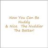 Bath Bomb - (Nuddy & Nice - Essence of Gingerbread Spice) view 3