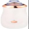 Dongng Vacuum Blackhead Remover Extractor Facial Acne Whitehead Pimple Pore Nose Face Cleanser Tool Device USB Rechargeable Portable view 1