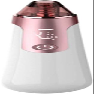 Dongng Blackhead Machine Vacuum Pore Cleaner, with Camera Visible Blackhead Removal Facial Pore Cleaner, with 4 Suction Heads (White)