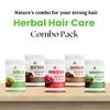 Havintha Amla, Reetha, Shikakai, Bhringraj and Hibiscus powder for Hair care (Each 50g) view 3