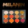 GV Melanin Natural/Neutral tone 12 shade Eyeshadow Palette view 2