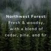 American Ostrich Farms Beard Oil& Conditioning Style Aid, Northwest Forest view 2
