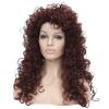 Aimole Synthetic Heat Resistant Hair Long Curly Wigs Cosplay Women Wig (35A) view 2