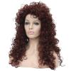 Aimole Synthetic Heat Resistant Hair Long Curly Wigs Cosplay Women Wig (35A) view 3