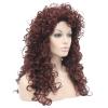 Aimole Synthetic Heat Resistant Hair Long Curly Wigs Cosplay Women Wig (35A) view 4