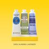 LOccitane Hand Cream Classics 3-Piece Gift Set, Moisturizing Skincare Trio, Nourishing Creams for Dry Hands, Nails, and Cuticles, Travel-Sized, Vegan view 3