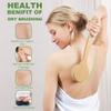 AIFEIVICO Dry Brushing Body Brush, Natural Boar Bristle Dry Brush, Bamboo Exfoliating Body, Face, Foot, Long Handle Back Scrubber Brush, Meridian Pressure for Lymphatic, Cellulite view 4