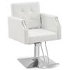BarberPub Classic Salon Chair for Hair Stylist,Hydraulic Barber Styling Chair,Beauty Salon Spa Equipment 8818 (White) view 1