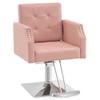 BarberPub Classic Salon Chair for Hair Stylist,Hydraulic Barber Styling Chair,Beauty Salon Spa Equipment 8818 (Pink) view 1
