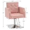 BarberPub Classic Salon Chair for Hair Stylist,Hydraulic Barber Styling Chair,Beauty Salon Spa Equipment 8818 (Pink) view 3