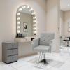 BarberPub Classic Salon Chair for Hair Stylist,Hydraulic Barber Styling Chair,Beauty Salon Spa Equipment 8818 (Grey) view 2