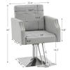BarberPub Classic Salon Chair for Hair Stylist,Hydraulic Barber Styling Chair,Beauty Salon Spa Equipment 8818 (Grey) view 3