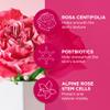 Andalou Naturals 1000 ROSES Fortifying Night Cream view 4