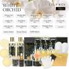 Christmas Gifts for Women - 18-Piece Luxury Gold Spa Gift Set, Premium Bath Collection | Father's Day, Mothers Day Gift, Birthday Gifts, All Occasion Ultimate Holiday Gift for Her & Him view 2