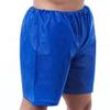 BESTOYARD Blue Massage Pants Disposable Non-Woven Briefs for Spa and Sauna 10 Pieces Lightweight Breathable Womens Disposable Underwear view 1