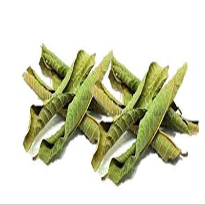 Veena Guava Leaves |Amrood Patti | Koiya ilai|Psidium Guava Leave Dry (100GM)
