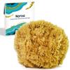 Naroa Exfoliating Natural Sponge for Shower | Bath Sea Loofah for Healthy Skin | Unbleached Bathing Body Scrubber Puff | Plastic Free (Medium) view 1