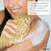 Naroa Exfoliating Natural Sponge for Shower | Bath Sea Loofah for Healthy Skin | Unbleached Bathing Body Scrubber Puff | Plastic Free (Medium) view 4