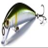 Athlete 55SFH NA2 Natural Ayu II view 1