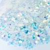 Iridescent Star Glitter, Star Shape Glitter, Clear Star Glitter, Christmas, Glitter for Nails, Glitter for Tumblers, Glitter Shapes for tumblers, Glitter Shape Confetti (1oz) view 1
