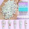 Dowarm 3200PCS Nail Art Rhinestones, Aurora Flatback Rhinestones for Nails, Crafts, 12 Styles 3D Glass Crystal Nail Gems view 3
