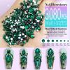 Dowarm 3200PCS Nail Art Rhinestones, Green/Emerald Flatback Rhinestones for Nails, Crafts, 12 Styles 3D Glass Crystal Nail Gems view 3