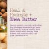 Maui Moisture Heal & Hydrate + Shea Butter Shampoo & Conditioner Bundle, Hair Care Set with Shea Butter & Aloe Vera for Dry, Damaged Waves & Curls, Silicone-Free, Two Pack, 2 x 13 fl. oz view 2
