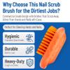 SPARTA Nail Scrub Brush Commercial-Grade, Heavy-Duty Hand and Fingernail Brush with Stiff Bristles for Gardeners, Mechanics, And Foodservice Personnel, Plastic, 5 Inches, Orange, (Pack of 12) view 3