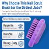 SPARTA Nail Scrub Brush Commercial-Grade, Heavy-Duty Hand and Fingernail Brush with Stiff Bristles for Gardeners, Mechanics, And Foodservice Personnel, Plastic, 5 Inches, Purple, (Pack of 12) view 3