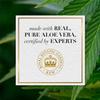 Herbal Essences Bio:Renew Sulfate Free Hemp + Potent Aloe Shampoo and Conditioner Set, 13.5 Fl Oz Each  Nourishes Dry Hair for Frizz Control, Paraben Cruelty Safe Color Treated (Pack of 1) view 2