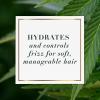 Herbal Essences Bio:Renew Sulfate Free Hemp + Potent Aloe Shampoo and Conditioner Set, 13.5 Fl Oz Each  Nourishes Dry Hair for Frizz Control, Paraben Cruelty Safe Color Treated (Pack of 1) view 4