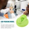 2pcs Colored Ear Model Piercing Teaching Model Piercing Ear Model Ear Model for Studs Wearing Teaching Ear Model Human Ear Model Fake Ear Model Ear Model view 4