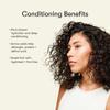 Odele Vegan Leave-In Conditioner, for Deep Moisture, Detangling, Frizz Control, Weightless Shine, and All Hair Types + Textures, 8 fl oz view 4