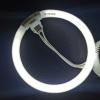 (2 Pack) 5.5 inch OD, 4 Pins Inside, T4 12W 6400k Circular Bulb Replacement for Conair Makeup Mirror, Round Fluorescent Lamps- FC121 view 4