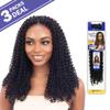 MULTI PACK DEALS! FreeTress Crochet Braids Water wave 14" (3-PACK, 130) view 3