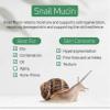 99.25% Korean Skin Care Snail Mucin Moisturizer Cream - Snail Mucin Essence Night cream-Face Serum | K Beauty Collagen Cream for Glass Skin view 2