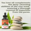 Aztec Secret - Royal Tea Tree Oil - 100% Pure - 4 OZ - Deep Hair & Skin Moistruizer - 1 pack view 2