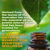 Aztec Secret - Royal Tea Tree Oil - 100% Pure - 4 OZ - Deep Hair & Skin Moistruizer - 1 pack view 4