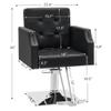 BarberPub Classic Salon Chair for Hair Stylist,Hydraulic Barber Styling Chair,Beauty Salon Spa Equipment 8818 (Black) view 3