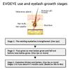 EVOBEAUTE EVOEYE Eyelash Formula 3ml 0.1fl oz Premium Eyelash Supplement view 4