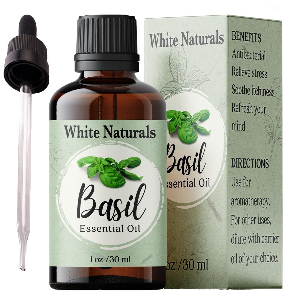 Basil Essential Oil,100% Pure & Natura, Therapeutic Grade Basil Oil for Aromatherapy, Great for Skin, Massage, Diffuser Candle & Soap Making, Plant Therapy 1 oz Bottle with Dropper