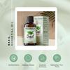 Basil Essential Oil,100% Pure & Natura, Therapeutic Grade Basil Oil for Aromatherapy, Great for Skin, Massage, Diffuser Candle & Soap Making, Plant Therapy 1 oz Bottle with Dropper view 2