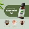 Basil Essential Oil,100% Pure & Natura, Therapeutic Grade Basil Oil for Aromatherapy, Great for Skin, Massage, Diffuser Candle & Soap Making, Plant Therapy 1 oz Bottle with Dropper view 4